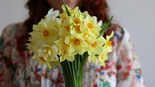 Portrait Of Young Romantic Woman Smelling Spring Yellow Daffodils Flowers In Bouquet At Home