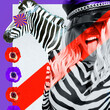 Contemporary digital funky minimal collage poster. Stylish Party zebra Lady. Trendy animal print. Back in 90s. Pop art zine fashion, music, clubbing culture.