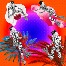 Contemporary Digital Funky Minimal Collage Poster. Party Zebra Ladies In Tropical Geometry Space. Beach Vacation Mood. Back In 90s. Pop Art Zine Fashion, Music, Clubbing Culture.