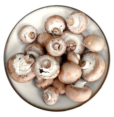 Flat lay of organic brown mushrooms in stone bowl isolated on white background. 