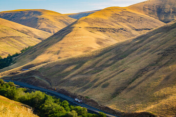 Wall Mural - The Scholz road among yellow hills. Beautiful landscape of Steptoe Butte state park, Washington, USA