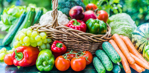 Wall Mural - Variety of fresh organic vegetables and fruits in the garden