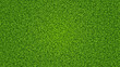 Green grass vector texture. Fresh lawn summer grass background
