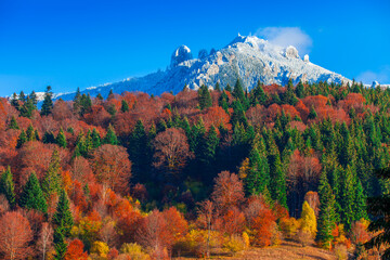 Wall Mural - Mountain lanscape in november. Late autumn scene with snow on Ceahlau, Romania. autumn or fall season in colors