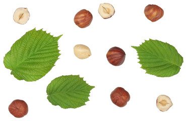 Wall Mural - Hazelnuts isolated on the white background, top view