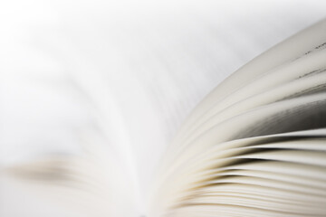 opened book with focus on the pages right with narrow depth of field, white background