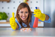 Smiling happy housewife ready for cleaning home. Beautiful woman cleaning table with spray. Portrait of smiling woman holding in her hand cleaning products while  showing thumbs up.