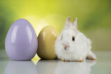 Fototapeta Zwierzęta - Bunny, rabbit and easter eggs