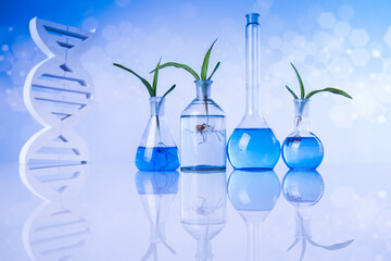 Plant laboratory experimental, Chemical glassware, dna