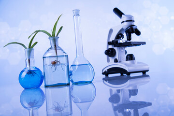 Biotechnology concept, Plant laboratory experimental