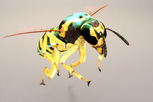 Artistic 3D Illustration Of A Wasp