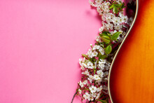 Acoustic Guitar And Blossoming Cherry Tree Branches On Pink  Bright Bold Color Background. Top View, Close Up, Copy Space..