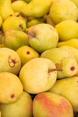 fresh pears in the market. pears in bulk. ripe pears in a street market