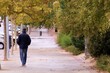 Un hombre caminando por la avenida Monasterio de Silos, Madrid, España. Hombre mayor con sombrero para la lluvia caminando por la acera visto desde atrás.