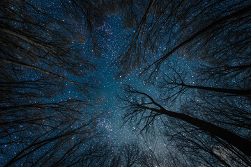 Wall Mural - silhouette of a flying goth santa claus against the background of the night sky.