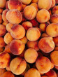 lots of sweet ripe peaches to eat as a background