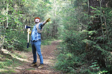 Wall Mural - Male lumberjack in the forest. A professional woodcutter inspects trees for felling.