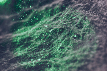 Poster - Beautiful abstract  green texture web. Background pattern for design. Macro photography view.