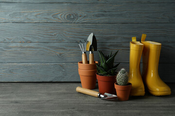 Tools for gardening against gray wooden background