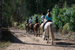 Group of people riding horses on a trail