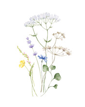 Watercolor Vector Arrangement Of With Wildflower Flowers.