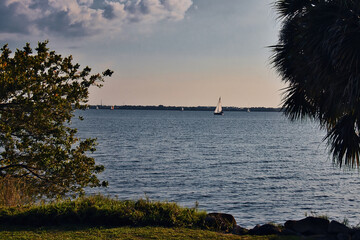 Wall Mural - Bird watching in at the Melbourne beach pier in Florida at sunset on the Indian river