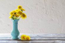 Yellow Dandelions In Blue Vase On White Background