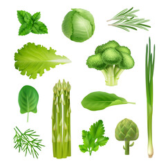 Canvas Print - Green vegetables. Mint onion salad leaf parsley cabbage and broccoli decent vector organic fresh products realistic illustrations set