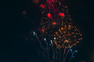 Bright fireworks in the night sky