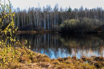 Sticker - lake in autumn