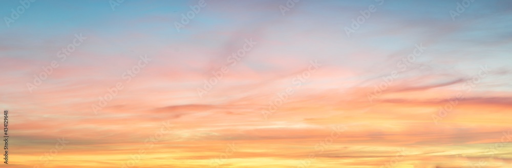 Clear blue sky. glowing pink and golden cirrus and cumulus clouds after storm, soft sunlight. Dramatic sunset cloudscape. Meteorology, heaven, peace, graphic resources, picturesque panoramic scenery - obrazy, fototapety, plakaty 