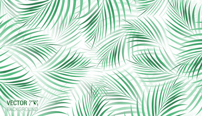 Wall Mural - Exotic abstract vector green jungle pattern on the white background. Trendy art beach print wallpaper