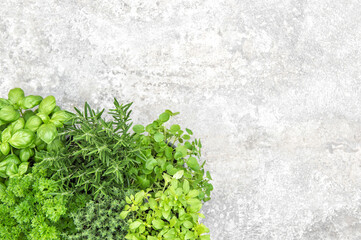 Poster - Fresh herbs Food background Parsley basil rosemary thyme