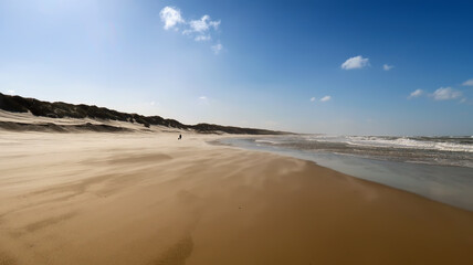 beach at the danish north sea