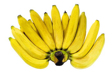 Closeup a comb of ripe yellow bananas isolated on white background