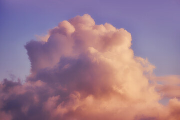 Wall Mural - A large white cloud against a warm blue sunset sky