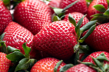 red strawberry berry close-up. vegetarian healthy food and summer vitamins sweet berry background