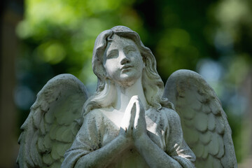 Fototapete - Tender beautiful angel praying. Fragment of an  ancient statue. Faith, religion, death, resurrection concept.