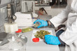 © Shey Nunez/ADDICTIVE STOCK - Side view of crop unrecognizable male biologist in uniform studying dried marijuana flower buds on laboratory table between professional equipment