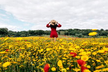 Back View Anonymous Trendy Female In Red Sundress Standing On Blossoming Field With Yellow And Red Flowers And Touching Hat On Warm Summer Day
