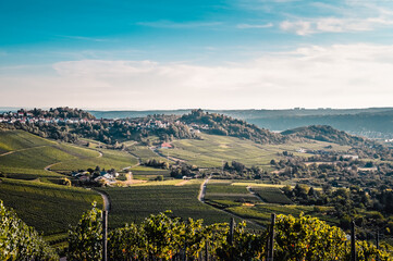 Wall Mural - Beautiful view of a vineyard panorama with a funerary chapel on a hill in the background near Stuttgart, Germany.