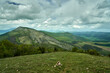 The lush green Kraishte mountain ranges in Bulgaria, Europe, in spring, against a dramatic cloud backdrop, as seen from the Lubash peak slopes.