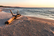 Morze bałtyckie Korzeń konar pień plaża zachód słońca