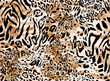 Seamless hand drawing leopard pattern, animal print