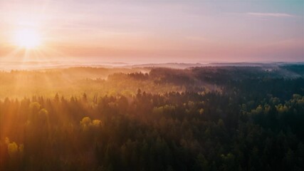 aerial time-lapse hyperlapse misty morning in forest. bright warm sun rises over foggy woodland. clo