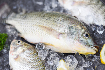 Raw tilapia from farm on ice market food, Fresh Tilapia fish freshwater for cooking food in the asian restaurant