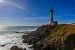 © SvetlanaSF - Waves crashing on the shore by Pigeon Point Lighthouse on Northern California Pacific Ocean coastline near Pescadero