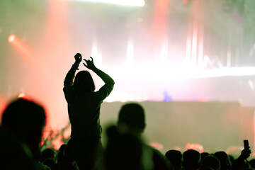 Wall Mural - Rear view of crowd with arms outstretched at concert