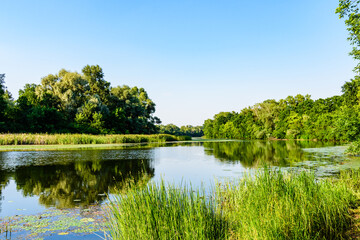 Wall Mural - Summer landscape with the green trees and river