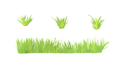 Grass isolated on a white background. Green watercolor horizontal grass clipart. Hand-drawn landscape illustration. Bright freshness plants border for your design. Outdoor object.